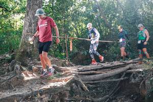 BIB: 
                            <button type="button" onclick="openModal(27748262)" class="btn btn-primary btn-sm float-right btn-popup" data-toggle="modal" data-target=".modal-high-quality">
                        <i class="fas fa-shopping-cart"></i> Add to Cart
                    </button>
                                            <button type="button" onclick="isThisMe(27748262, true)" class="btn btn-success btn-sm float-right btn-popup btn-isme hidden" data-toggle="tooltip" data-placement="bottom" title="นี่คือรูปของคุณใช่ไหม คลิกที่นี่เพื่อเอาเข้าอัลบั้ม">
                        <i class="fas fa-plus"></i> Add to album
                    </button>
                    <button type="button" onclick="isThisMe(27748262, false)" class="btn btn-warning btn-sm float-right btn-popup btn-isnotme hidden">
                        <i class="fas fa-ban"></i> Remove from album
                    </button>